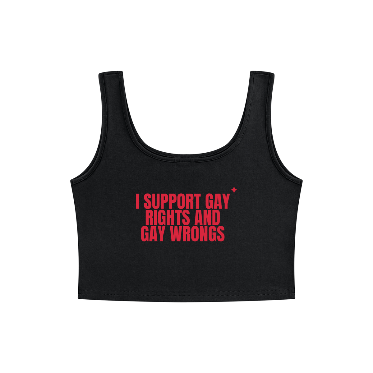 I Support Gay Rights And Gay Wrongs Crop Tank