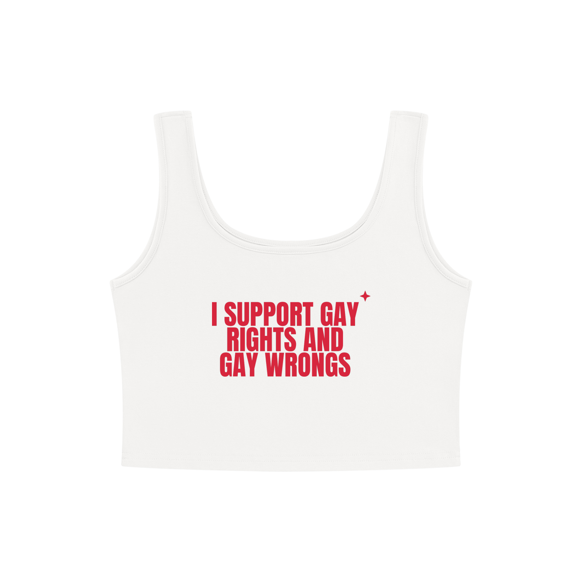 I Support Gay Rights And Gay Wrongs Crop Tank